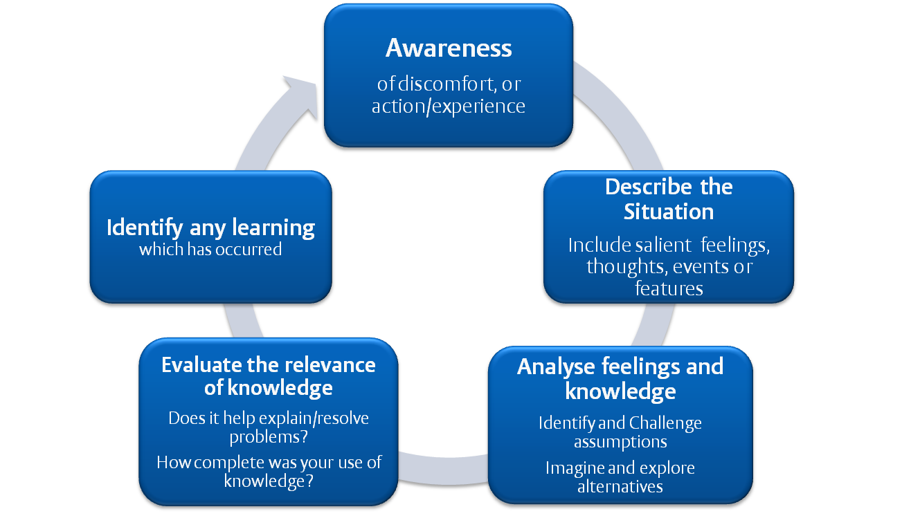 Hbc-hbe Final: My Course Reflection